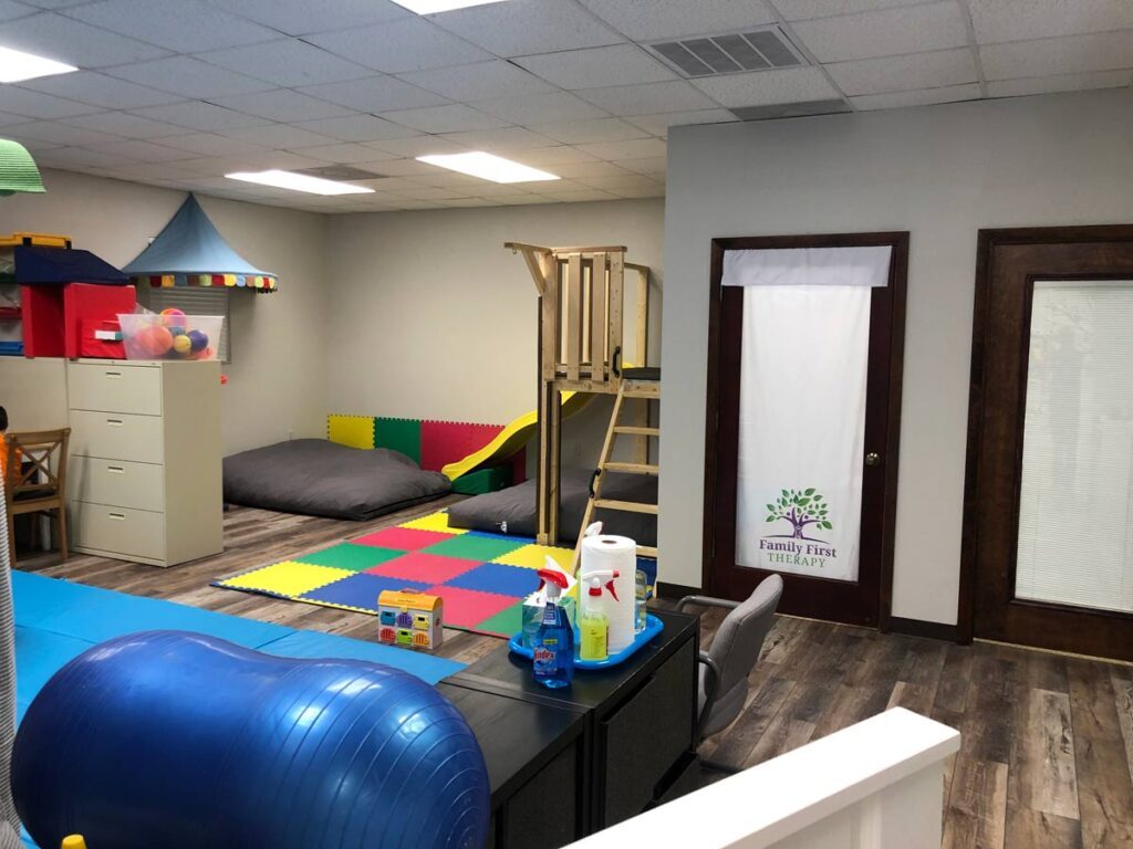 Family First Therapy Early Intervention Gym Tampa FL